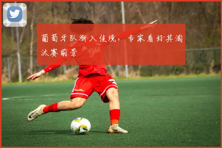 葡萄牙队渐入佳境,专家看好其淘汰赛前景