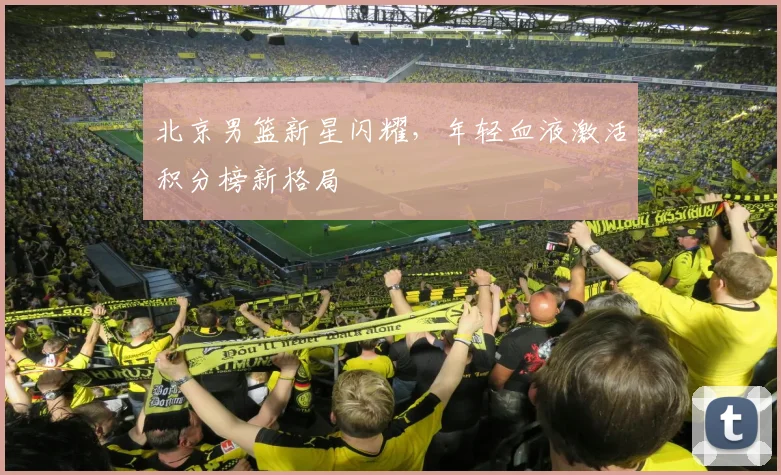 北京男篮新星闪耀,年轻血液激活积分榜新格局