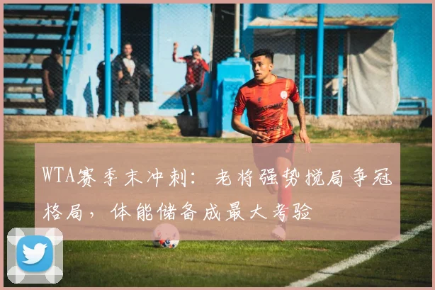 WTA赛季末冲刺:老将强势搅局争冠格局,体能储备成最大考验