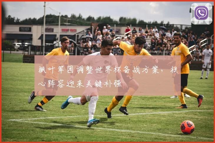 枫叶军团调整世界杯备战方案，核心阵容迎来关键补强